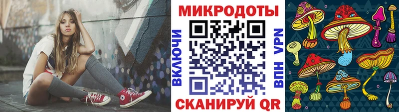 Псилоцибиновые грибы мицелий Кисловодск