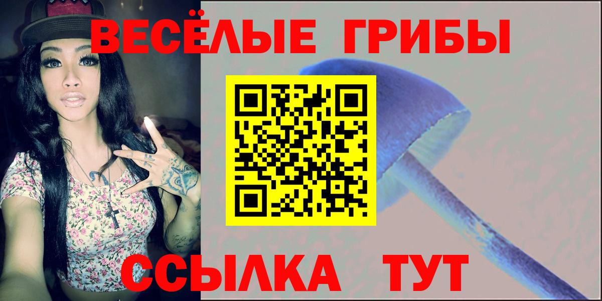 Галлюциногенные грибы ЛСД Кисловодск