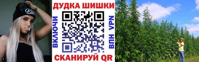 Бошки Шишки SATIVA & INDICA  Кисловодск 
